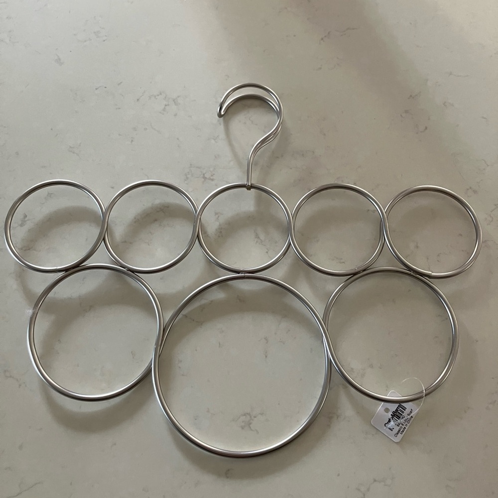 Crate&Barrel Silver Scarf Organizer